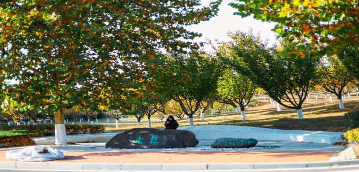 哈尔滨工程大学2024年在江西录取最低分数线和学费是多少？