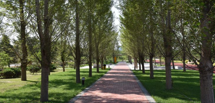 中国人民大学内蒙古分数线是多少？招生计划和学费是多少？