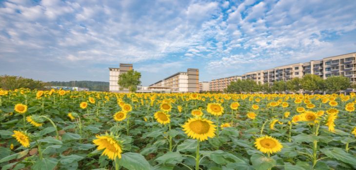 2024年中国人民公安大学收费明细：一年最低4200元最高4600元（供陕西考生参考）