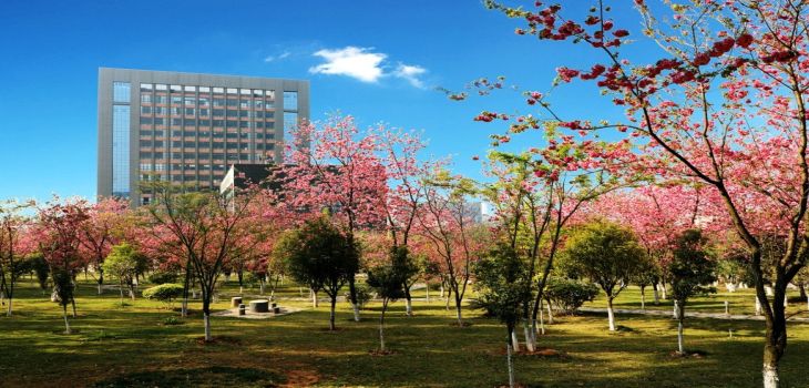 青岛理工大学2024年学费多少钱？每年4400元-48000元（各专业收费标准）