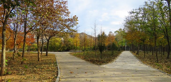 安徽工业大学陕西省分数线是多少？招生计划和学费是多少？