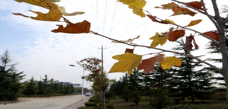 乐山师范学院2024年每年多少学费？每年5200元（供黑龙江考生参考）