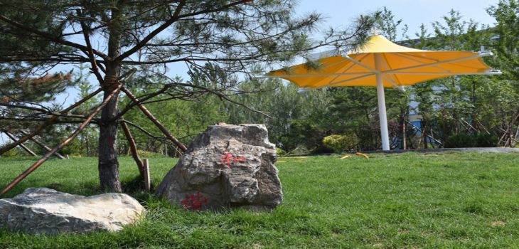 广西中医药大学2024年每年多少学费？每年最低5463元最高6450元（供河南考生参考）