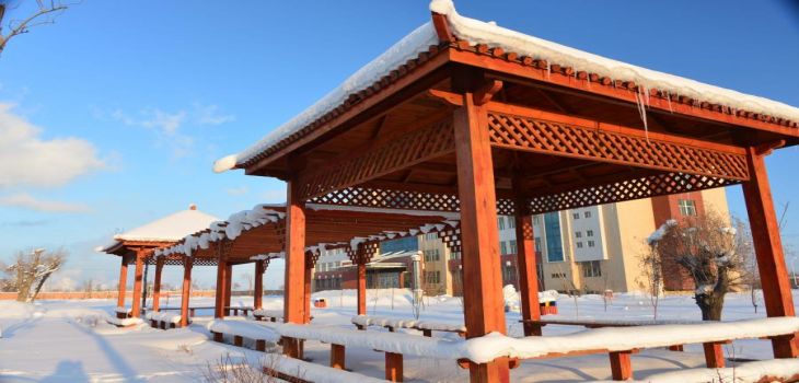 上海建桥学院在宁夏最低录取分数线和招生计划公布！