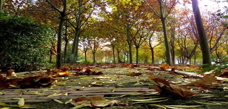 山东中医药大学在云南最低录取分数线和招生计划公布！