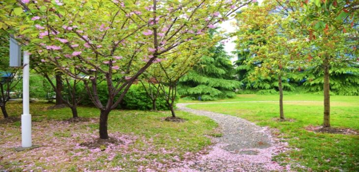 洛阳师范学院2024年每年多少学费？每年4400元到8000元（供甘肃考生参考）