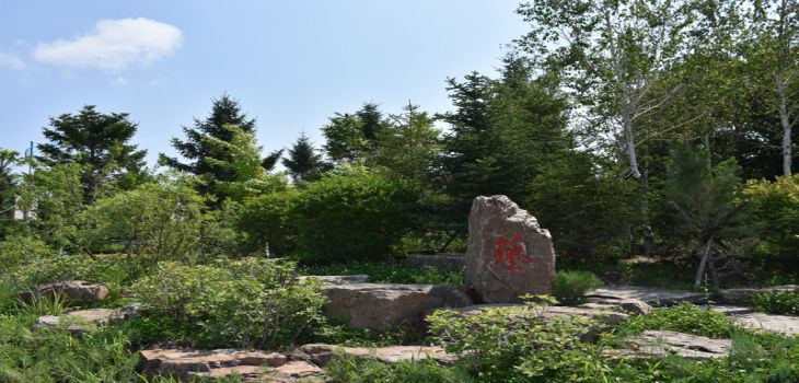 西华大学2024年在湖南录取分数线和招生计划