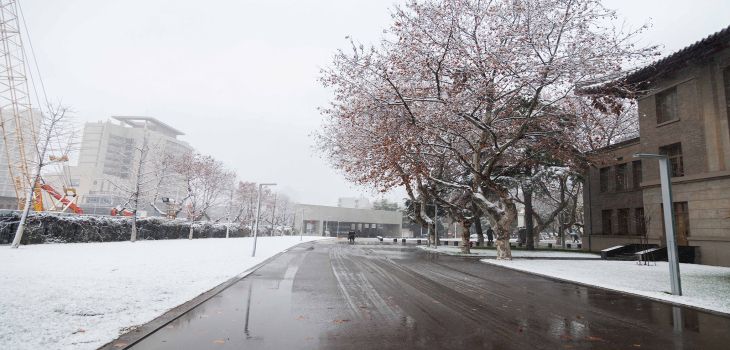 电子科技大学在江西招生计划？学费是多少？录取分数线是多少？