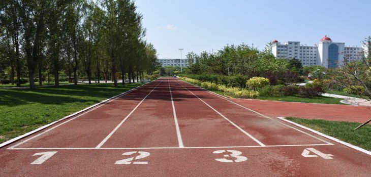 青岛农业大学在江苏学费是多少？招生计划？录取分数线是多少？
