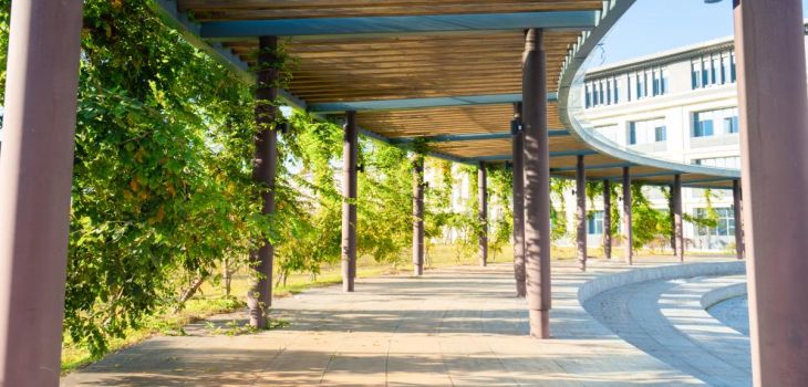 辽宁师范大学在浙江招生计划？学费是多少？录取分数线是多少？