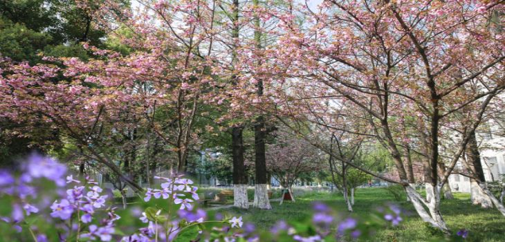 重庆财经学院2024年每年多少学费？每年15000元（供吉林考生参考）
