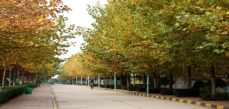 中南大学甘肃省分数线是多少？招生计划和学费是多少？