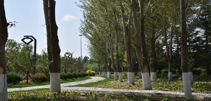 吉林大学2024年学费标准：每年5810元到7080元（各专业收费标准）