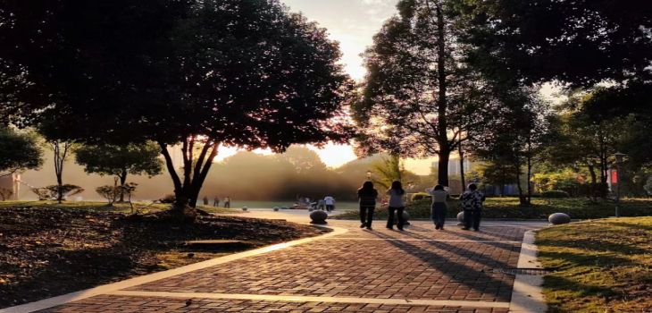 北京金融科技学院2024年学费明细：每年79800元（供广西考生参考）