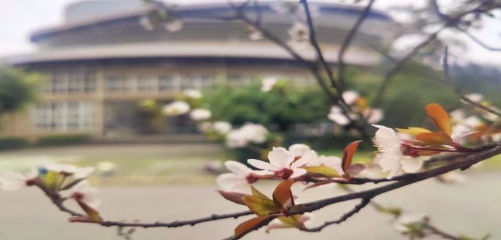 大连交通大学在安徽最低录取分数线和招生计划公布！