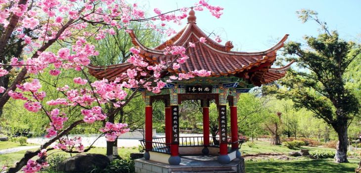 清华大学2024年每年多少学费？每年5000元（供江苏考生参考）