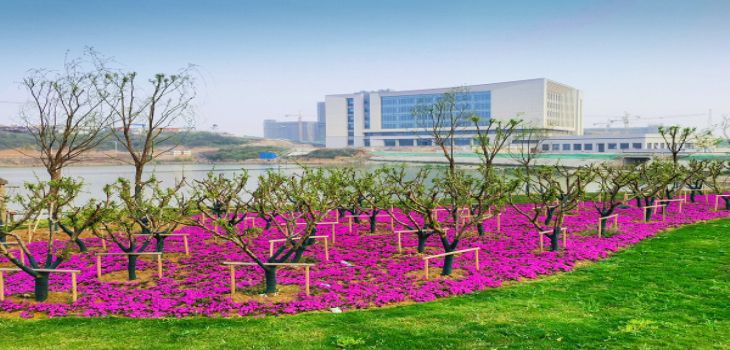 常州大学2024年在宁夏录取最低分数线和学费是多少？