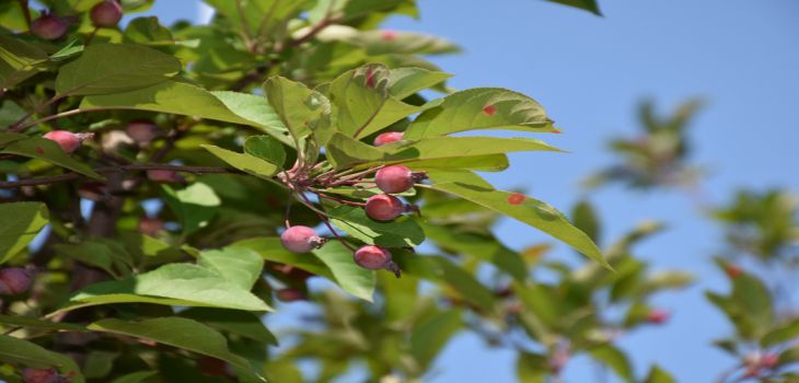 广西大学2024年在宁夏录取最低分数线和学费是多少？