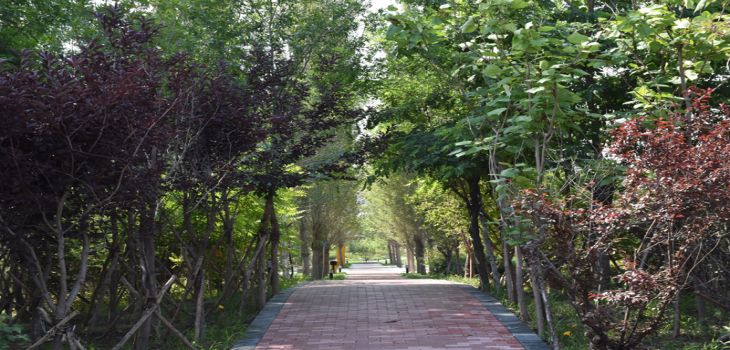 佳木斯大学2024年学费明细：每年最低2500元最高4620元（供安徽考生参考）