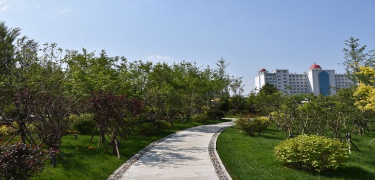 北京理工大学在海南招生计划？学费是多少？录取分数线是多少？