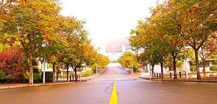 平顶山学院2024年在湖北录取最低分数线和学费是多少？