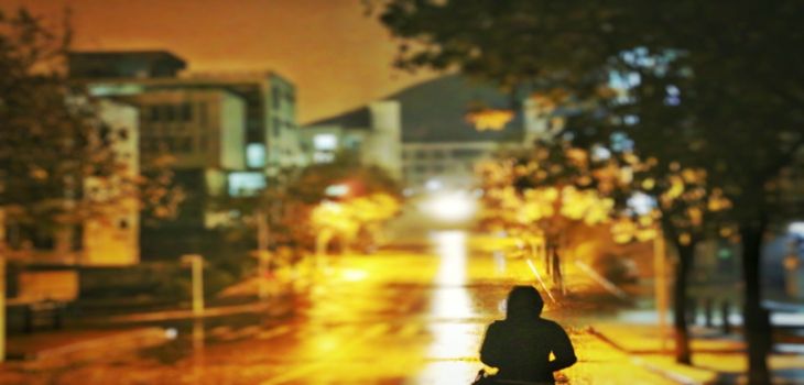 福州大学在广东学费是多少？招生计划？录取分数线是多少？