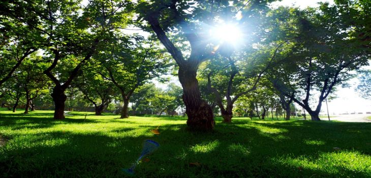 东莞理工学院在河南招生计划？学费是多少？录取分数线是多少？