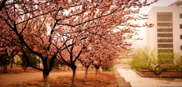 黑河学院2024年学费明细：每年3000元到4200元（供广东考生参考）