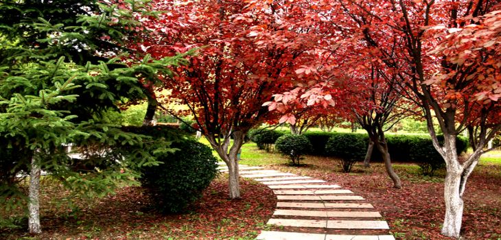 重庆医药高等专科学校陕西省分数线是多少？招生计划和学费是多少？