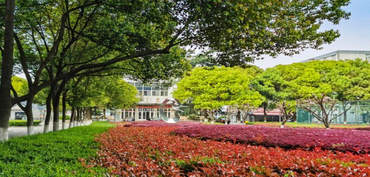广西科技师范学院2024年在湖南录取分数线和招生计划以及学费