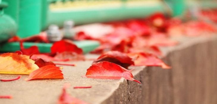 广州中医药大学青海省分数线是多少？招生计划和学费是多少？