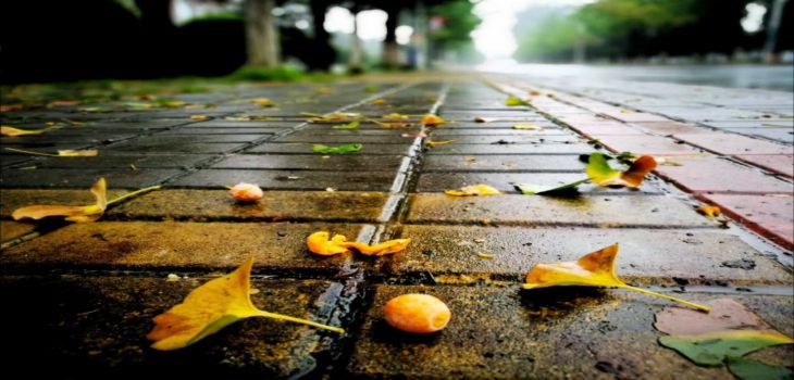 南开大学2024年在安徽录取分数线和招生计划以及学费