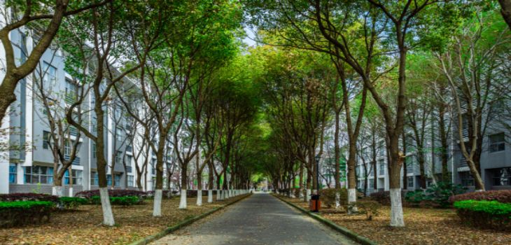 河南中医药大学在河南学费是多少？招生计划？录取分数线是多少？