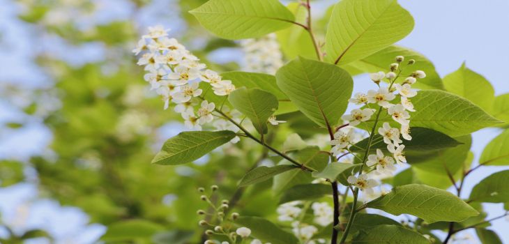 海南大学在安徽学费是多少？招生计划？录取分数线是多少？