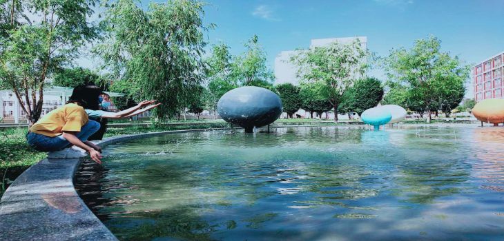深圳北理莫斯科大学安徽省分数线是多少？招生计划和学费是多少？