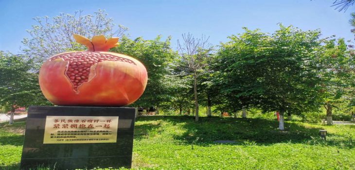 潍坊学院2024年在云南录取分数线和招生计划