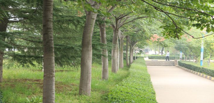 2024年天津中德应用技术大学学费明细：一年5400元（各专业收费标准）